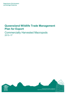 Queensland Wildlife Trade Management Plan for Export