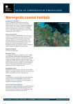 Maningrida coastal habitats