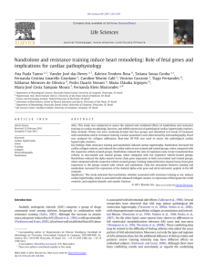 Nandrolone and resistance training induce heart remodeling: Role