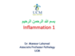 Inflammation 1