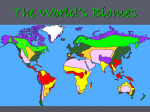 The World`s Biomes