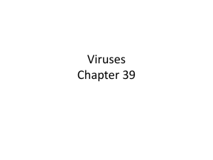 Viruses Chapter 39
