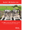 Bovilis ® IBR Marker Live - MSD Animal Health Ireland