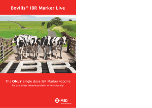 Bovilis ® IBR Marker Live - MSD Animal Health Ireland