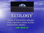 ECOLOGY pp2016
