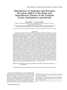 Distribution of Androgen and Estrogen Receptor mRNA in the Brain