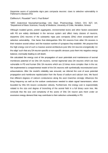 Dopamine axons of substantia nigra pars compacta neurons and