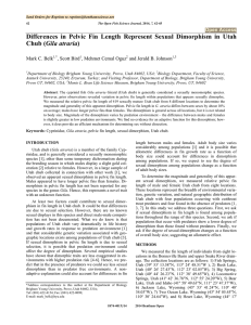 Differences in Pelvic Fin Length Represent Sexual Dimorphism in