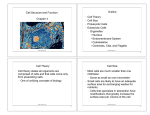 Cell Structure and Function Chapter 4 Outline Cell Theory Cell Size