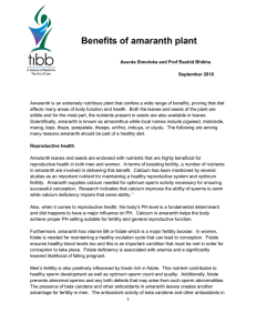benefits-of-the Amaranth
