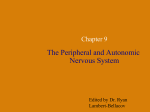 Chapter 09 Peripheral nerves
