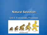 DarwinNatural_Selection11