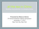 the tea in China Modeling crop production in a changing climate