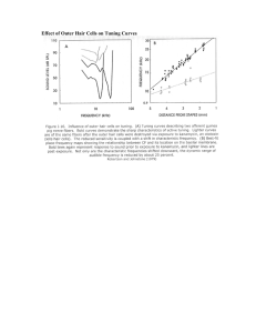 Effect of Outer Hair Cells on Tuning Curves