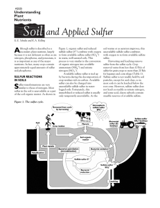 Soil and Applied Sulfur (A2525)