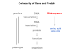 Protein Interactions in an Organism Compose the Interactome