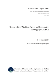 Report of the Working Group on Deep