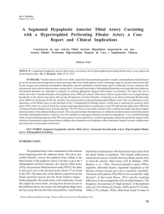 A Segmental Hypoplastic Anterior Tibial Artery Coexisting