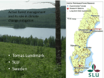 forest ecosystems