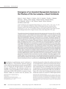 Emergence of an Ancestral Glycoprotein Hormone in the Pituitary of