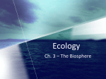 Ch 3 Notes - The Biosphere (2012