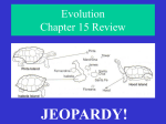 5/14/15 Jeopardy! Darwin`s Theory of Evolution Review
