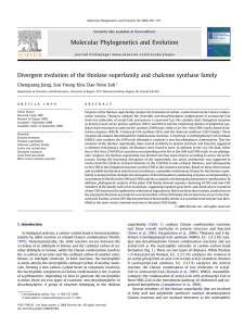 Divergent evolution of the thiolase superfamily and chalcone