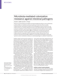 Microbiota-mediated colonization resistance against intestinal