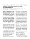 Microfluidic Isolation of Leukocytes from Whole Blood for Phenotype