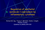 Regulation of epithelial syndecan-1 expression by inflammatory
