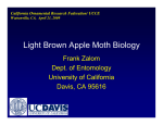 Light Brown Apple Moth Biology