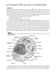 Lab 4. Cell Structure: What Type of Cell Is on the Unknown Slides?