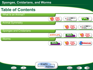 Sponges, Cnidarians, and Worms