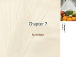 Chapter 7