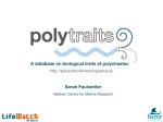 A database on biological traits of polychaetes
