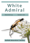 White Admiral - Suffolk Naturalists` Society