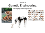 Chapter 13 Genetic Engineering Changing the living world