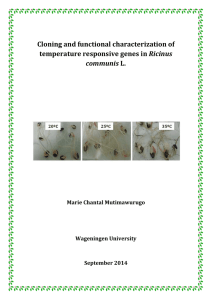 Cloning and functional characterization of temperature responsive