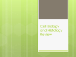 USMLE Lecture Histology and Cell Biology