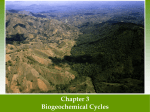 Ch 3 Biogeochemical Cycle ppt