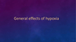 General effects of hypoxia - Easymed.club