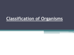 Classification of Organisms