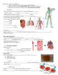 Body systemspart 1