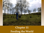 Ch 11 Feeding the World Powerpoint Notes