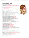 Study Guide - Digestive System