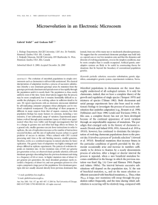 Microevolution in an Electronic Microcosm