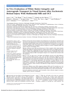 In Vivo Evaluation of White Matter Integrity and Anterograde