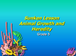 Sunken Lesson Animal Growth and Heredity