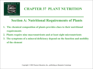 Plant Nutrition - Biology Junction