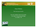 USDA Presentation - Palm Society of South Texas